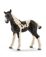 Hollywood Figúrka žriebätko Pinto (fľakaté) - Schleich - 9 cm