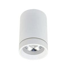 AZZARDO LED Stropné bodové prisadené svietidlo AZzardo Bill white AZ3375 10W 850lm 4000K IP20 6,5 cm biele