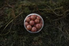 Lk Baits Fresh Boilies Reštart Mussel 14mm 150ml