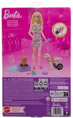 Mattel Barbie Bábika a psík s invalidným vozíčkom HTK37