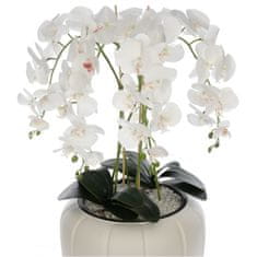 botle Biela umelá orchidea, kaskádovitá kytica v krémovom kvetináči, výška cca 90 cm, pogumované kvety, 5 výhonkov, dekorácia do domácej kancelárie