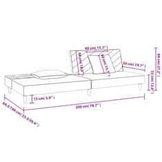 Petromila vidaXL 2-miestna rozkladacia pohovka s 2 vankúšmi, tmavosivá, zamat