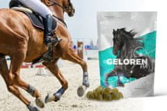 Contipro Geloren Horse HA 1350g - doplnková zmes, želé pre kone na kĺby 3x450g