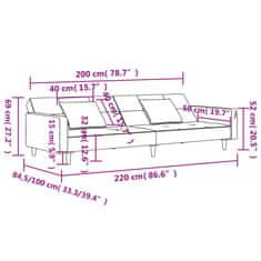 Petromila vidaXL 2-miestna rozkladacia pohovka s 2 vankúšmi, tmavosivá, zamat