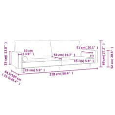 Petromila vidaXL 2-miestna rozkladacia pohovka s 2 vankúšmi, čierna, zamat