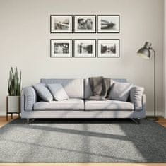 Petromila vidaXL Shaggy koberec PAMPLONA, vysoký vlas, moderný, zelený 200x200cm