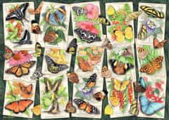 Ravensburger Puzzle Tropické motýle 1000 dielikov