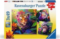 Ravensburger Puzzle Mláďatá z džungle 3x49 dielikov