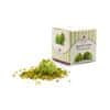 Pistacchio Sofì Pistáciové mini dezerty Baci del Ciclope, 110 g