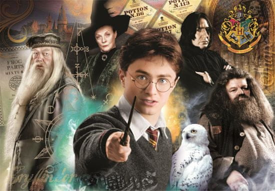 Clementoni Puzzle Harry Potter: Učitelia 1000 dielikov