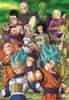 Puzzle Dragon Ball 104 dielikov