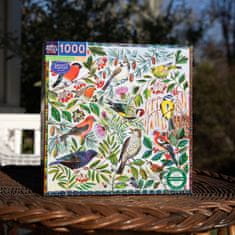 eeBoo Štvorcové puzzle Vtáky Škótska 1000 dielikov