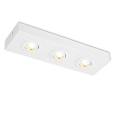 BRILONER BRILONER CTS LED stropné svietidlo, 38,5 cm, 4W, 460lm, biele BRI 3996036