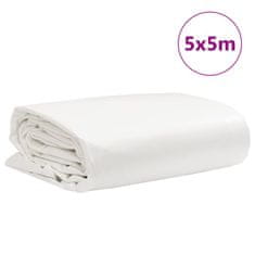 Vidaxl Celta biela 5x5 m 650 g/m²