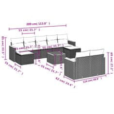 Petromila vidaXL 10-dielna záhradná sedacia súprava a vankúše béžová polyratan