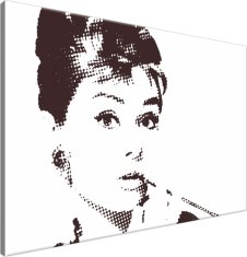 ZUTY Obrazy na stenu - Audrey Hepburn, 120x80 cm