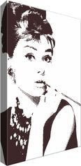 ZUTY Obrazy na stenu - Audrey Hepburn, 20x30 cm