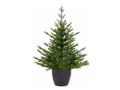 LAALU Vianočný stromček jedľa Bernard v kvetináči 90 cm s inteligentným LED osvetlením