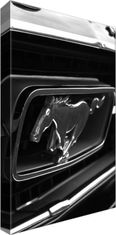ZUTY Obrazy na stenu - Jazdiaci Mustang - Spunkr, 20x30 cm