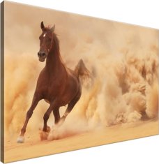 ZUTY Obrazy na stenu - Kôň v cvale, 90x60 cm