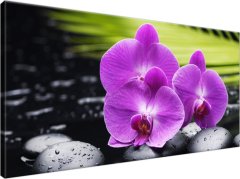 ZUTY Obrazy na stenu - Kamene a orchidey, 115x55 cm