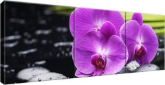 ZUTY Obrazy na stenu - Kamene a orchidey, 90x30 cm