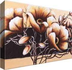 ZUTY Obrazy na stenu - Dôstojné kvety, 30x20 cm