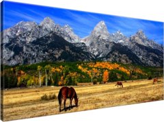 ZUTY Obrazy na stenu - Grand Teton - fortherock, 115x55 cm