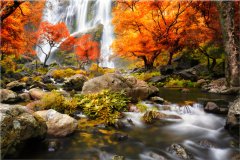 ZUTY Obrazy na stenu - Jesenný vodopád, 30x20 cm