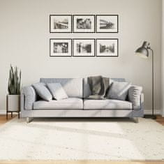Petromila vidaXL Shaggy koberec PAMPLONA, vysoký vlas, moderný krémový 200x200cm