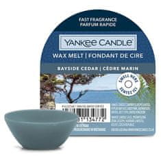 Yankee Candle Vonný vosk , Pobrežný céder, 22 g