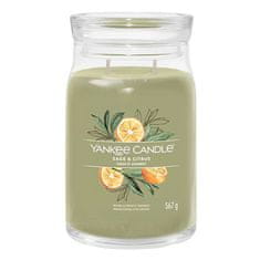 Yankee Candle Sviečka v sklenenej dóze , Šalvia a citrus, 567 g