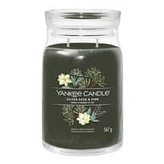 Yankee Candle Sviečka v sklenenej dóze , Strieborná šalvia a borovica, 567 g