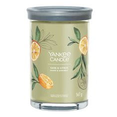 Yankee Candle Sviečka v sklenenom valci , Šalvia a citrus, 567 g