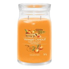 Yankee Candle Sviečka v sklenenej dóze , Čerstvá farmárska broskyňa, 567 g