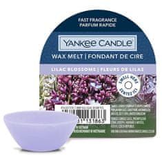 Yankee Candle Vonný vosk , Orgovánové kvety, 22 g