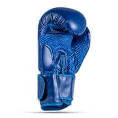 DBX BUSHIDO boxerské rukavice ARB-407-Blue 12 oz