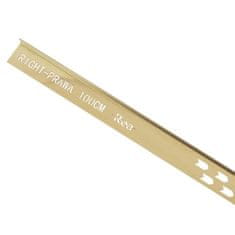 REA Spádová lišta ľavá, 100cm zlatá kartáčovaná (REA-K3216)
