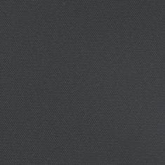 Petromila vidaXL Zaťahovacia bočná markíza, čierna 220x600 cm