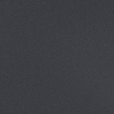 Vidaxl Zaťahovacia bočná markíza, čierna 160x600 cm