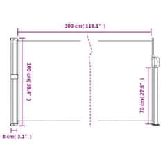 Petromila vidaXL Zaťahovacia bočná markíza čierna 100x300 cm