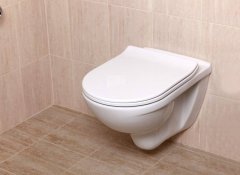 GLACERA GLACERA EASYSLIM44 WC sedátko soft close Slim - Glacera