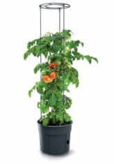 Prosperplast Kvetináč na pestovanie paradajok TOMATO GROWER antracit 39,2cm (max. výška: 153cm)