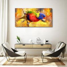 COLORAY.SK Obraz canvas Pobočka zvieracie vták papagája 120x60 cm