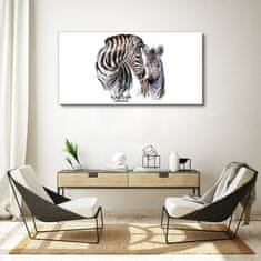 COLORAY.SK Obraz Canvas Zebra Animal Strips 120x60 cm