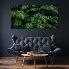 COLORAY.SK Obraz Canvas tropické listy 140x70 cm