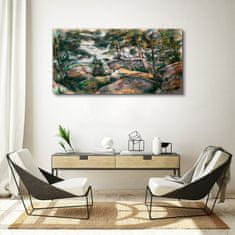 COLORAY.SK Obraz Canvas Skaly v lese Cézanne 120x60 cm