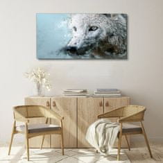 COLORAY.SK Obraz na plátne Divoký zvieracie vlk 120x60 cm