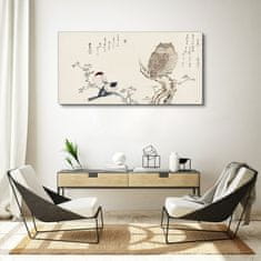 COLORAY.SK Obraz Canvas Vetva zvieratá vtákov sova 120x60 cm