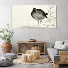 COLORAY.SK Obraz Canvas Zvieracie vták voda 140x70 cm